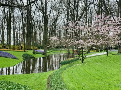 The stream running through the Keukenhof Gardens