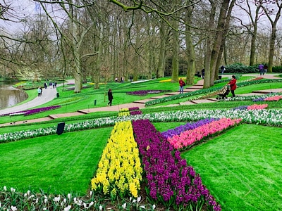 Some of the striped flower beds at Keukenhof