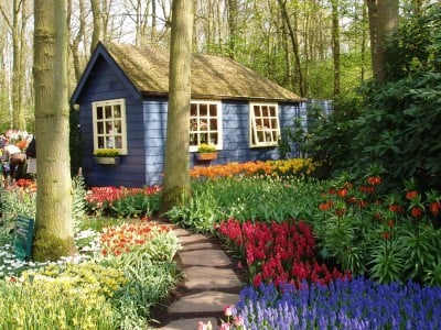 A small hut in the garden at Keukenhof