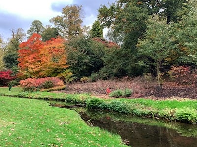 Colourful autumn trees and the small stream at Savill Garden