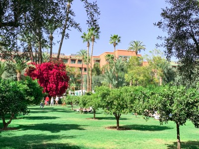 Part of the garden at Hotel La Mamounia Marrakech