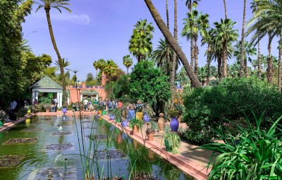 The beautiful Majorelle Garden Marrakech