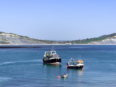 Boats in the bay in Lyme Regis with the coastline in the background