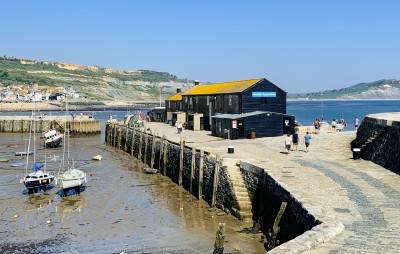 The aquarium in Lyme Regis at the end of the The Cobb and next to the harbour and boats - a visit here is one of the things to do in Lyme Regis