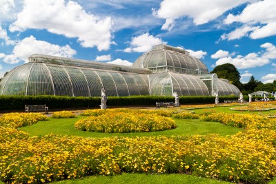 The Palm House at Kew Gardens with flowers in the foreground