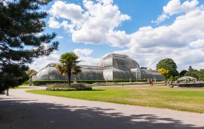 What to do at Kew Gardens