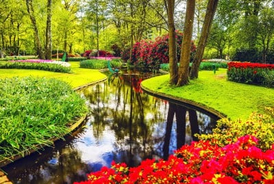 Flower beds at Keukenhof with a stream in between