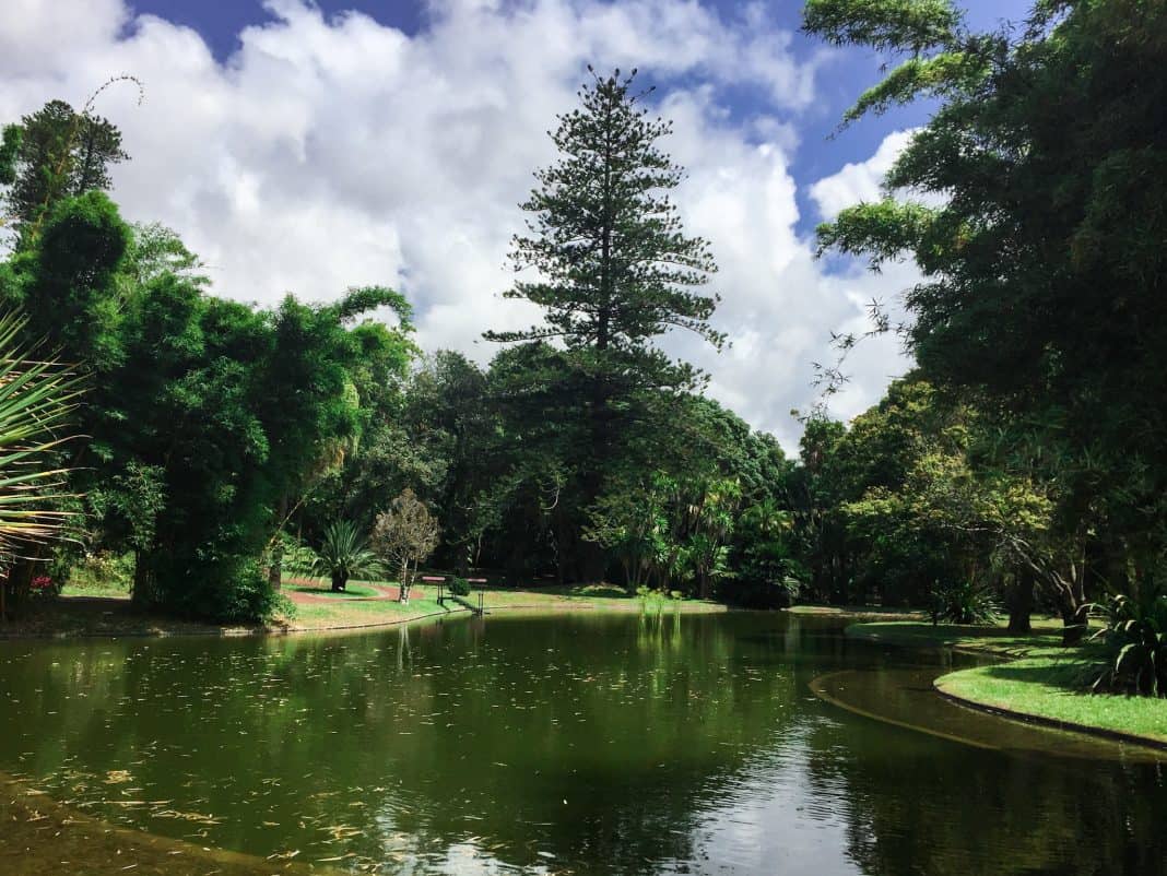 Part of the garden in the Jardim do Palacio de Santa'Ana in Ponta Delgada, with its lake.