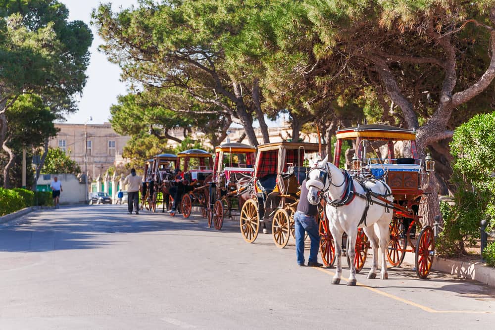 Horse drawn carriages in Mdina