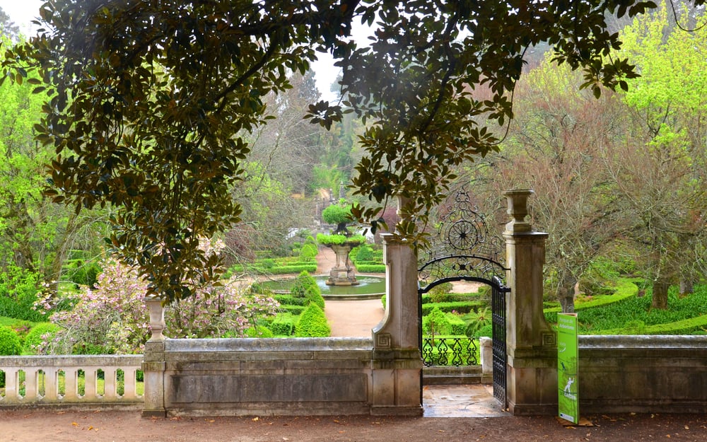 Part of Coimbra University's botanical garden