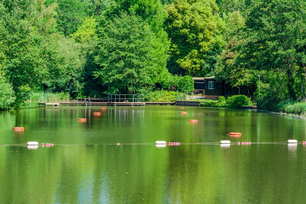 A bathing pond in Hampstead Heath park 