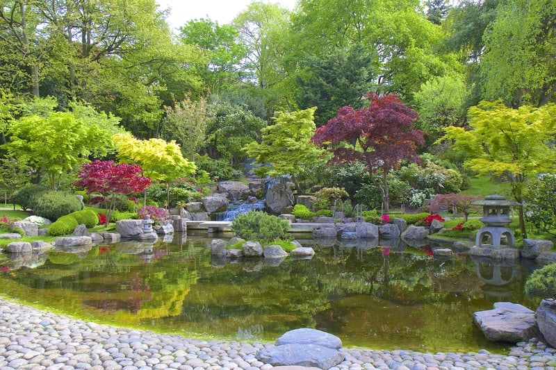 The Japanese Garden in Holland Park