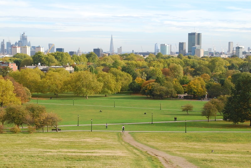 A view from Primrose Hill with the London skyline in the distance