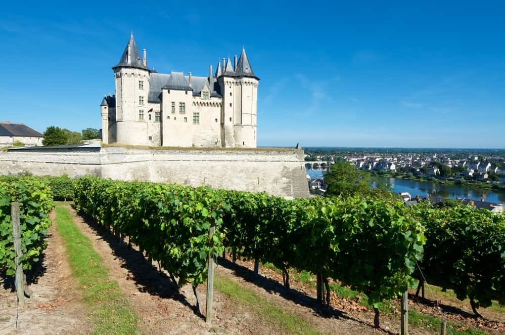 Saumur Castle overlooking the river and surrounded with vineyards