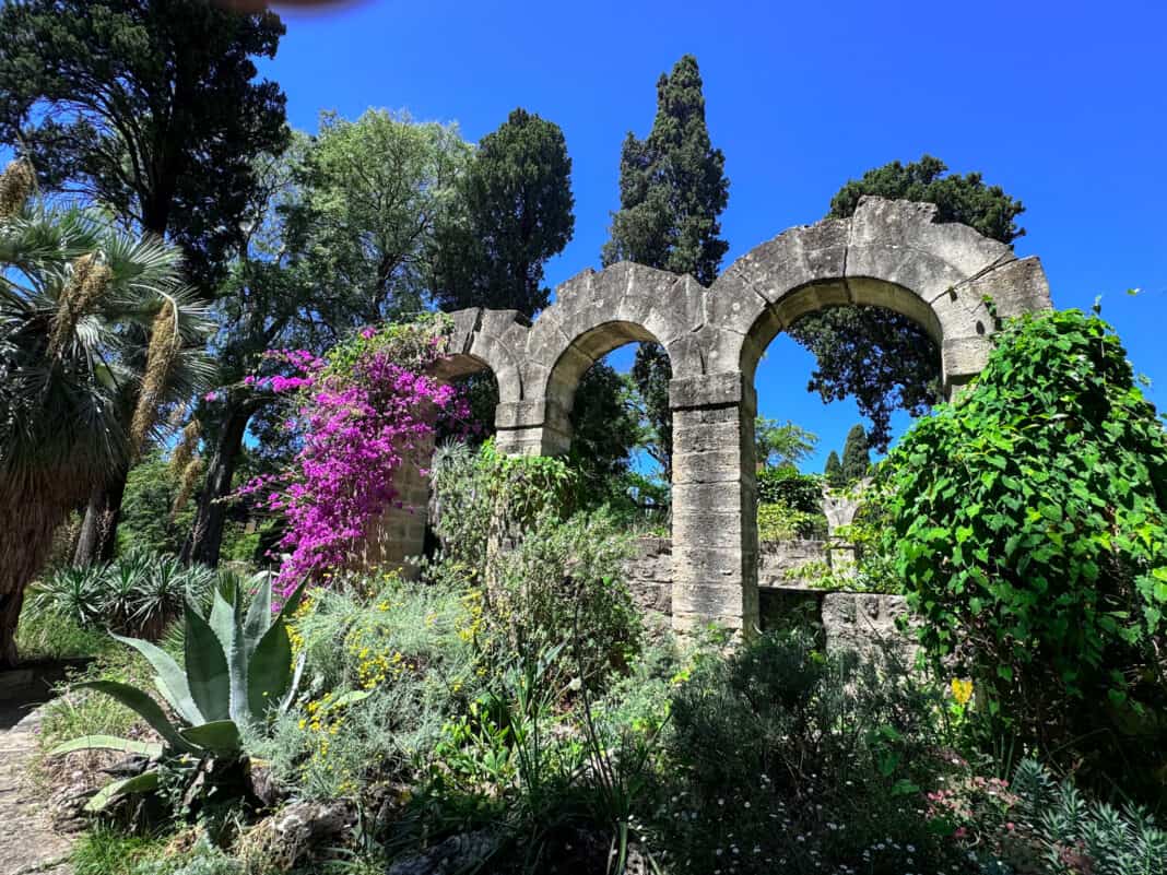 Parts of Montpellier's botanical garden