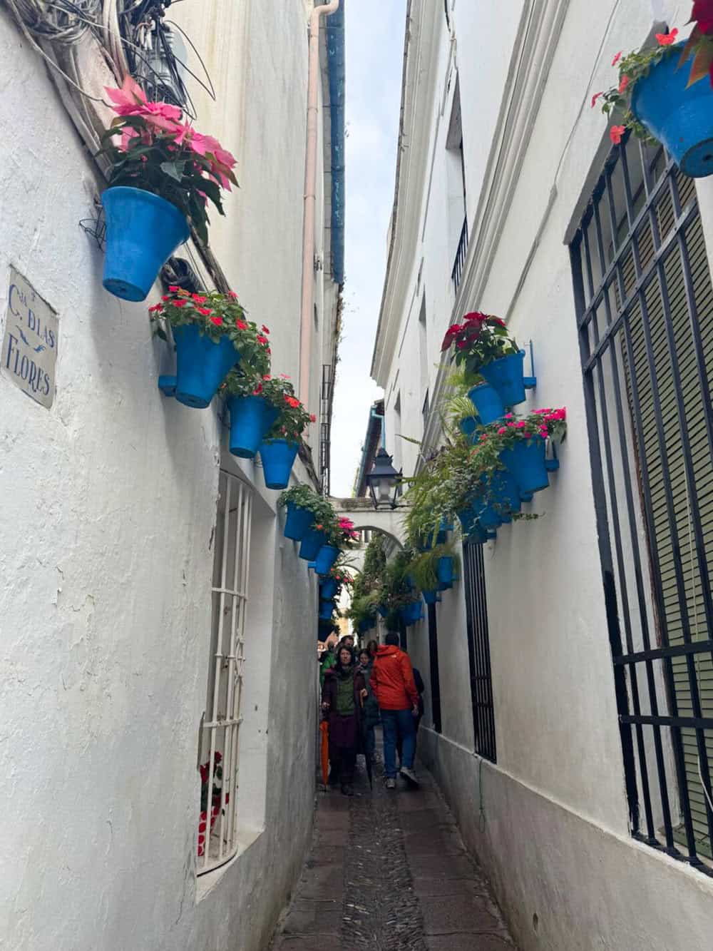 Part of the Calleja de las Flores