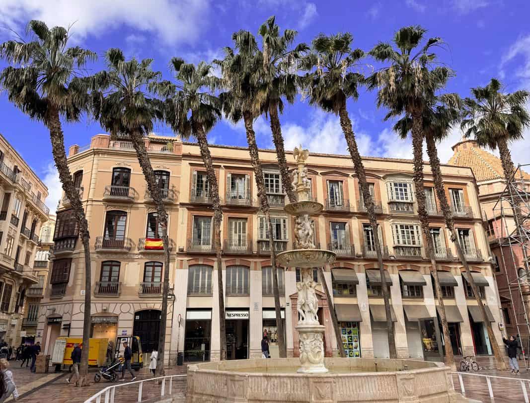 The slanted tress in the Plaza de la Constitución in Malaga
